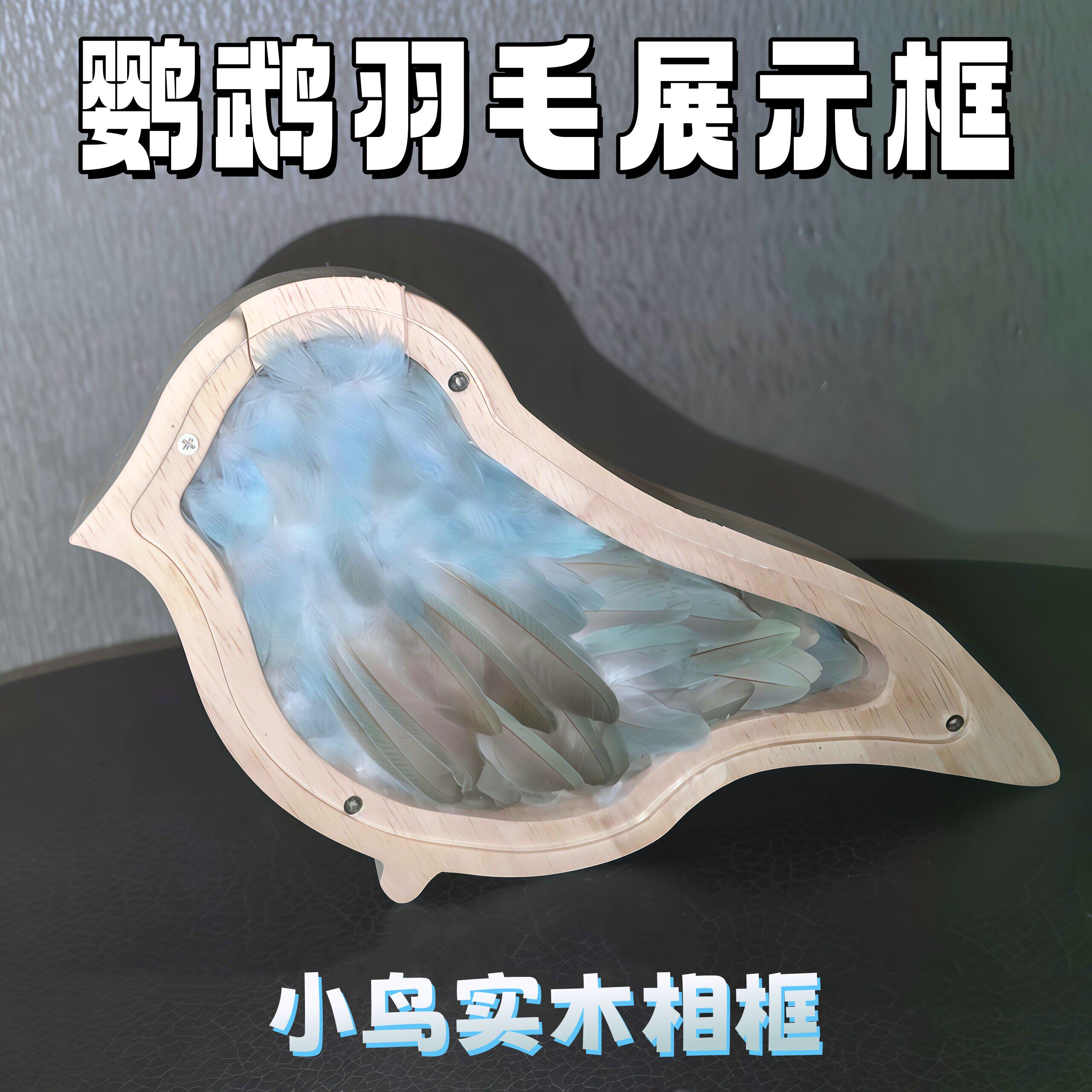 鹦鹉羽毛储蓄罐展示框diy手工桌面小鸡实木相框高级感纪念存钱罐