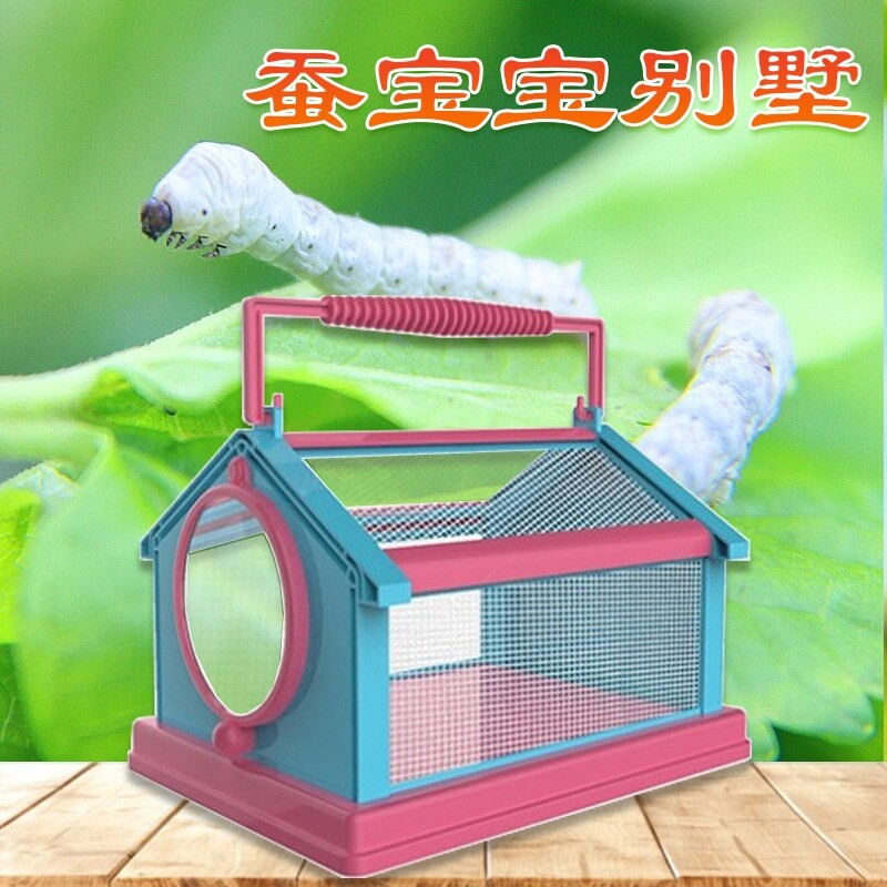 蚕宝宝的窝房子别墅养蚕盒学生养蚕套装桑叶新鲜喂蚕结茧网工具