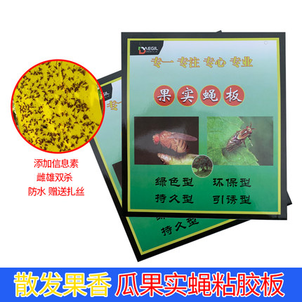 果实蝇专用果园黄板双面诱杀高强度信息素雌雄双杀果树专用包邮