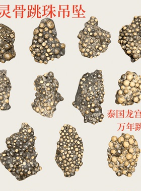 文玩原矿泰国龙宫舍利吊坠黑金刚