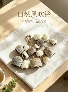 植物果壳风铃成品果壳铃散壳音疗乐器挂件摇铃车载包包挂件小礼品