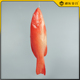 仿真东星斑鱼模型海鲜水产大虾青龙深海鱼模型石斑鱼仿真模型定制