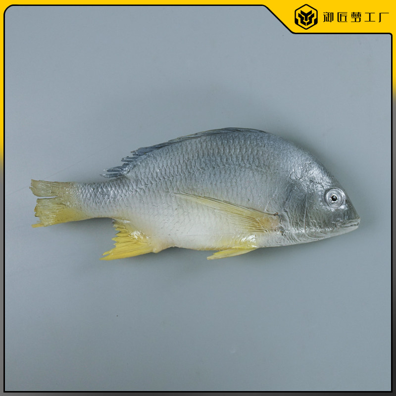 仿真黄翅鱼模型假深海鱼海鲜水产模具仿真深海鱼海鲫鱼模型假样,家居饰品,仿真水果,淘宝优惠券,粉丝福利购,淘宝优惠卷