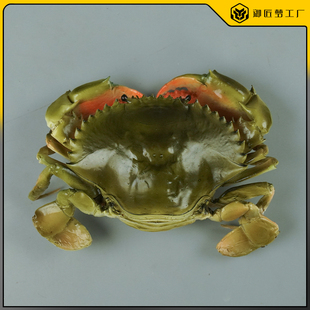 仿真青蟹膏蟹模型假海鲜水产大闸蟹螃蟹模具仿真食品菜品大螃蟹