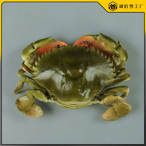 仿真青蟹膏蟹模型仿真食品菜品