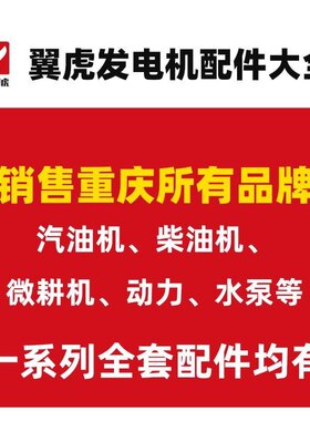 重庆翼虎汽油发电机配件原厂线圈启动马达拉盘化油器高压包空滤芯