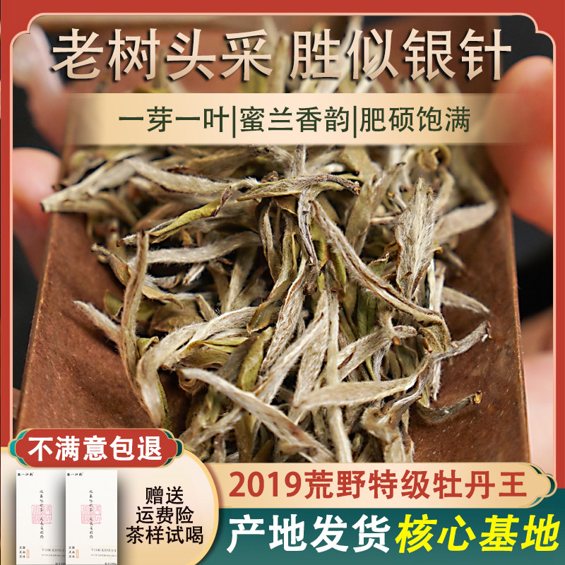 福鼎白茶2019明前头春荒野老枞特级白牡丹王正宗高山老树50g散装