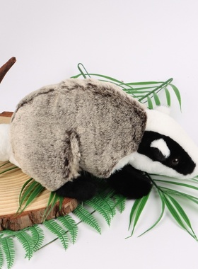 现货badger plush獾仿真动物jeff公仔安石獾郎毛绒玩偶摆件家居