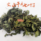 三七叶子精选优质云南文山三七干叶子中药材三七叶田七叶子500克