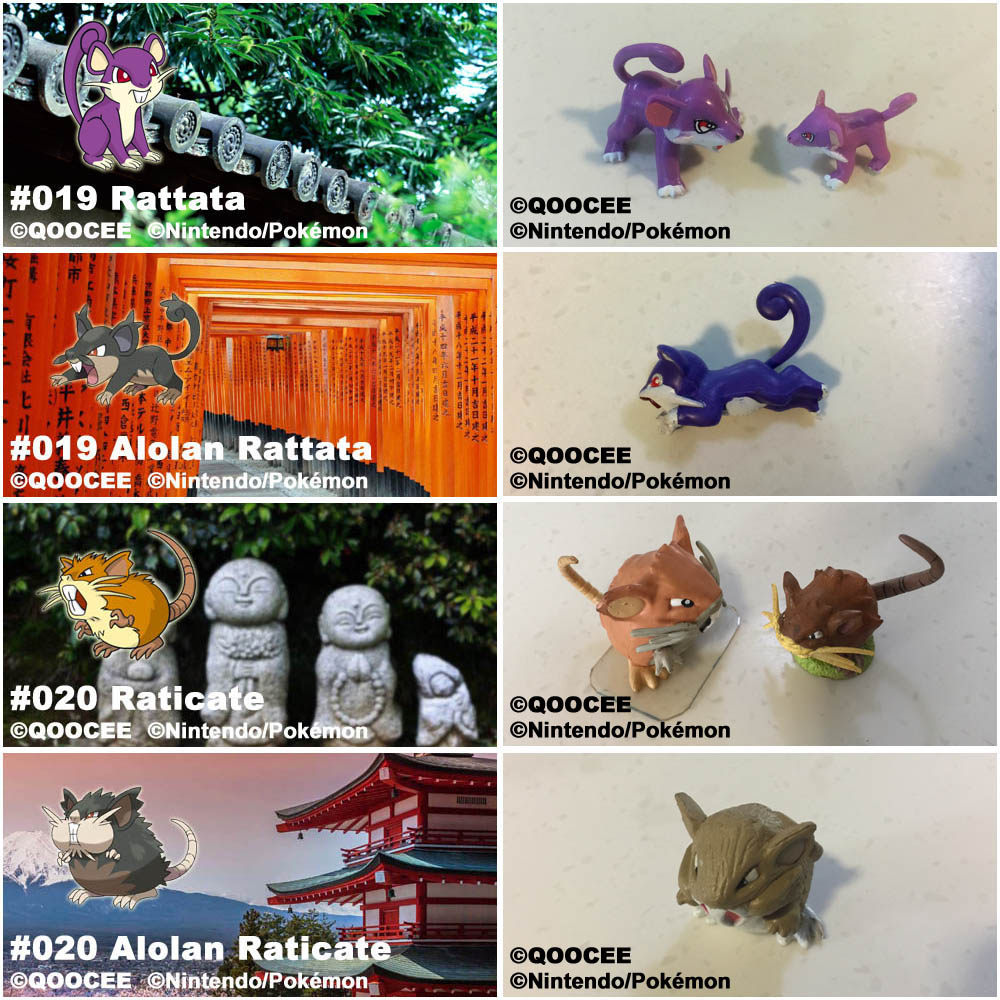 鹊城口袋妖怪-神奇宝贝宠物小精灵宝可梦福袋-拉达-小拉达