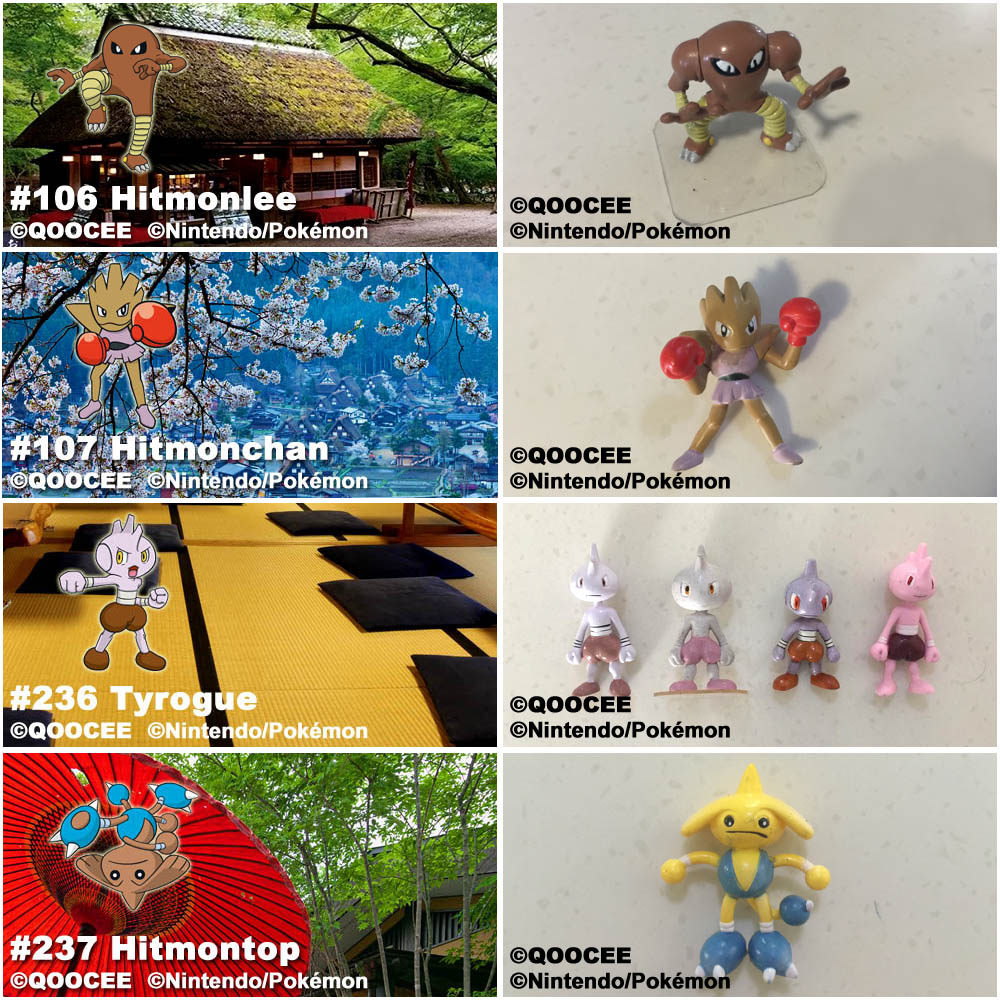 鹊城口袋妖怪-宠物小精灵福袋-巴尔郎-艾比郎-沙瓦郎-柯波朗