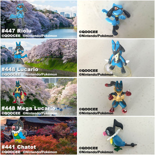 鹊城口袋妖怪-宠物小精灵福袋精灵宝可梦-利欧路-路卡利欧-聒噪鸟