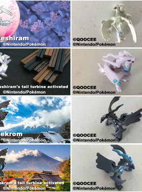 福袋黑白神兽捷克罗姆宠物小精灵
