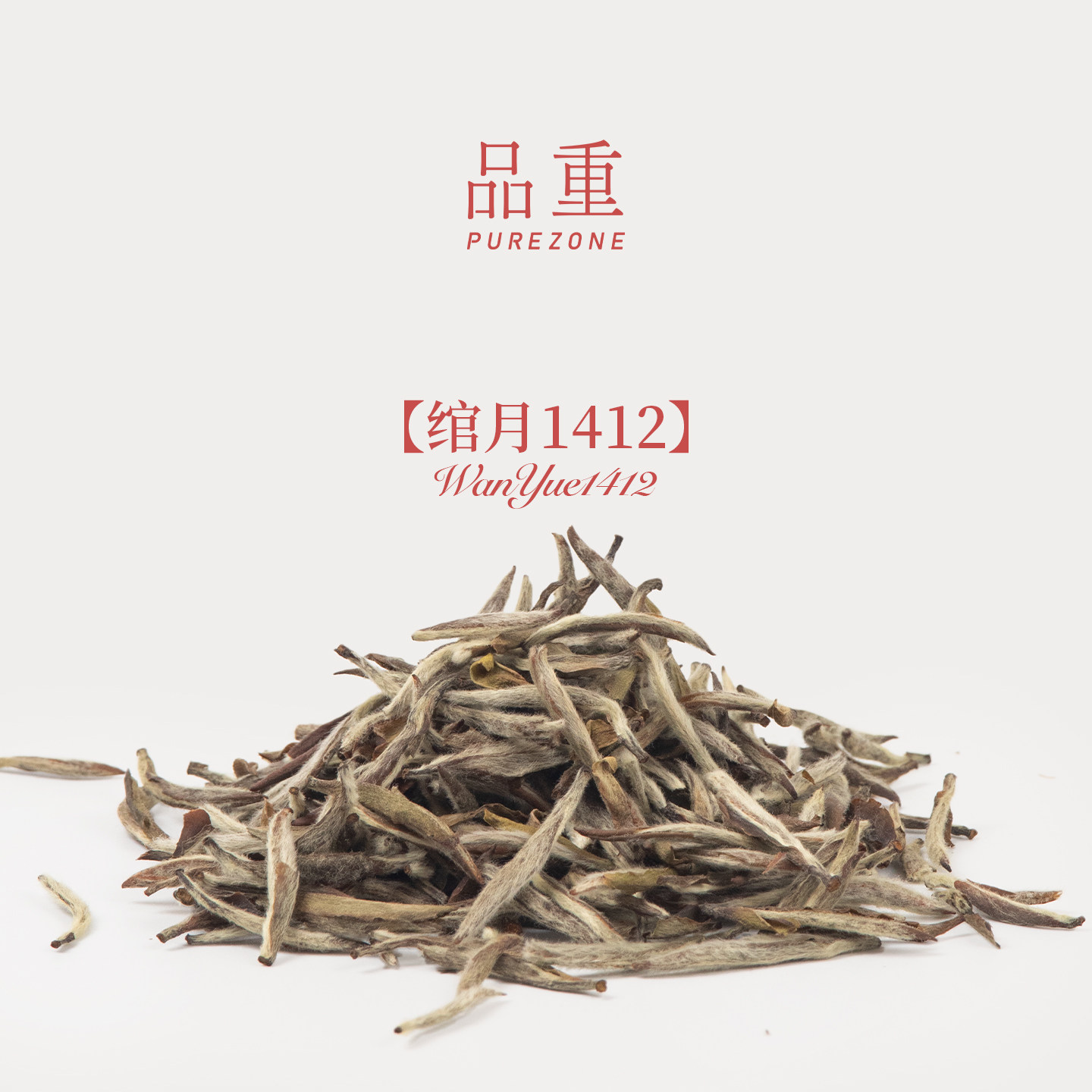 【新品首发】『绾月1412』2白毫银针