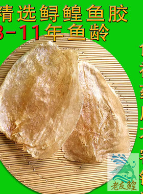 7-8头正宗鲟鳇鱼胶花胶食补药用