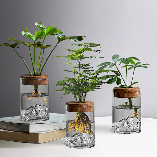 水培植物生态瓶多规格绿萝瓶高硼硅玻璃花瓶水养微景观植物瓶摆件