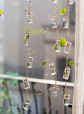 沁园春玻璃瓶装饰挂件吊饰门帘水培植物花器绿植风铃森系北欧挂饰
