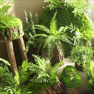 沁园春仿真绿植造景组合室内景观玄关角落隔断装 饰摆设楼梯间景观