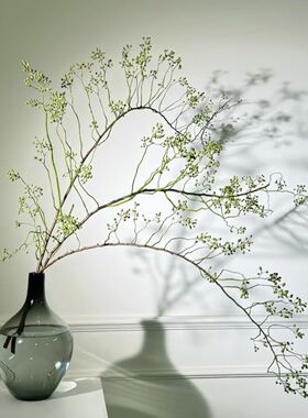 沁园春山归来鲜切花蔷薇果干枝条水培植物造景中式风禅意绿植水养