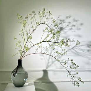 沁园春山归来鲜切花蔷薇果干枝条水培植物造景中式风禅意绿植水养