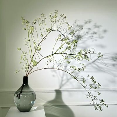 沁园春山归来鲜切花蔷薇果干枝条水培植物造景中式风禅意绿植水养