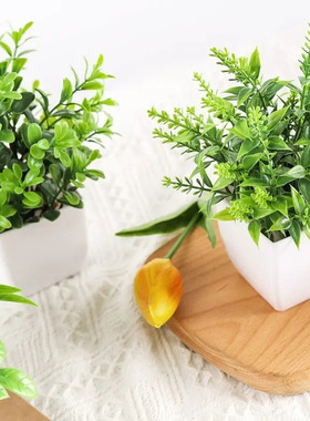 沁园春仿真绿植盆栽薰衣草尤加利家居装饰绿色植物小盆景假花摆件