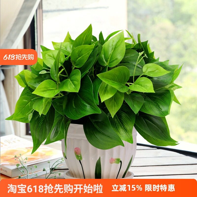 喜莱卡绿萝仿真绿植套装仿真花草植物家居客厅装饰摆设办公室摆件