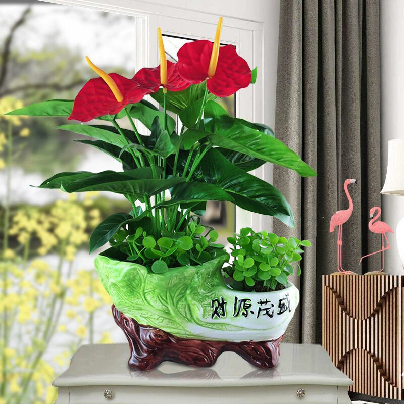 红掌仿真植物假花仿真花绿植花卉家居装饰品塑料花客厅摆件假盆栽