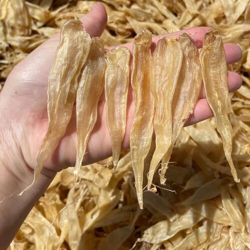 精品小豆仁公胶清水洗不腥花胶500g代拍链接