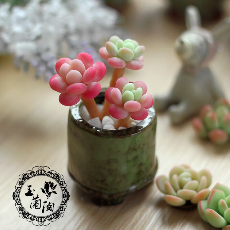手工仿真多肉植物 礼物摆件泥塑面塑软陶 玉兰陶原创包邮