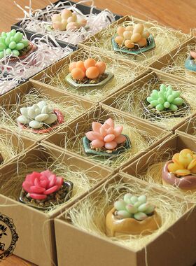 玉兰仿真多肉植物礼盒装原创软陶