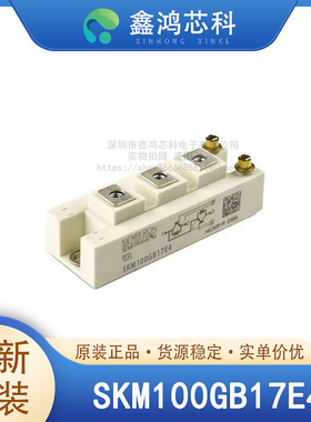 原装正品 SKM100GB17E4 MODULE IGBT可控硅功率模块
