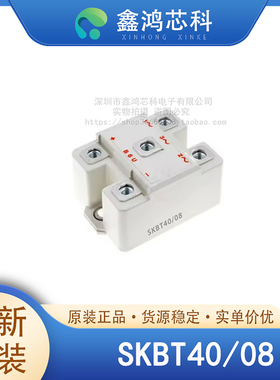 原装正品 SKBT40/08 MODULE 整流器功率模块