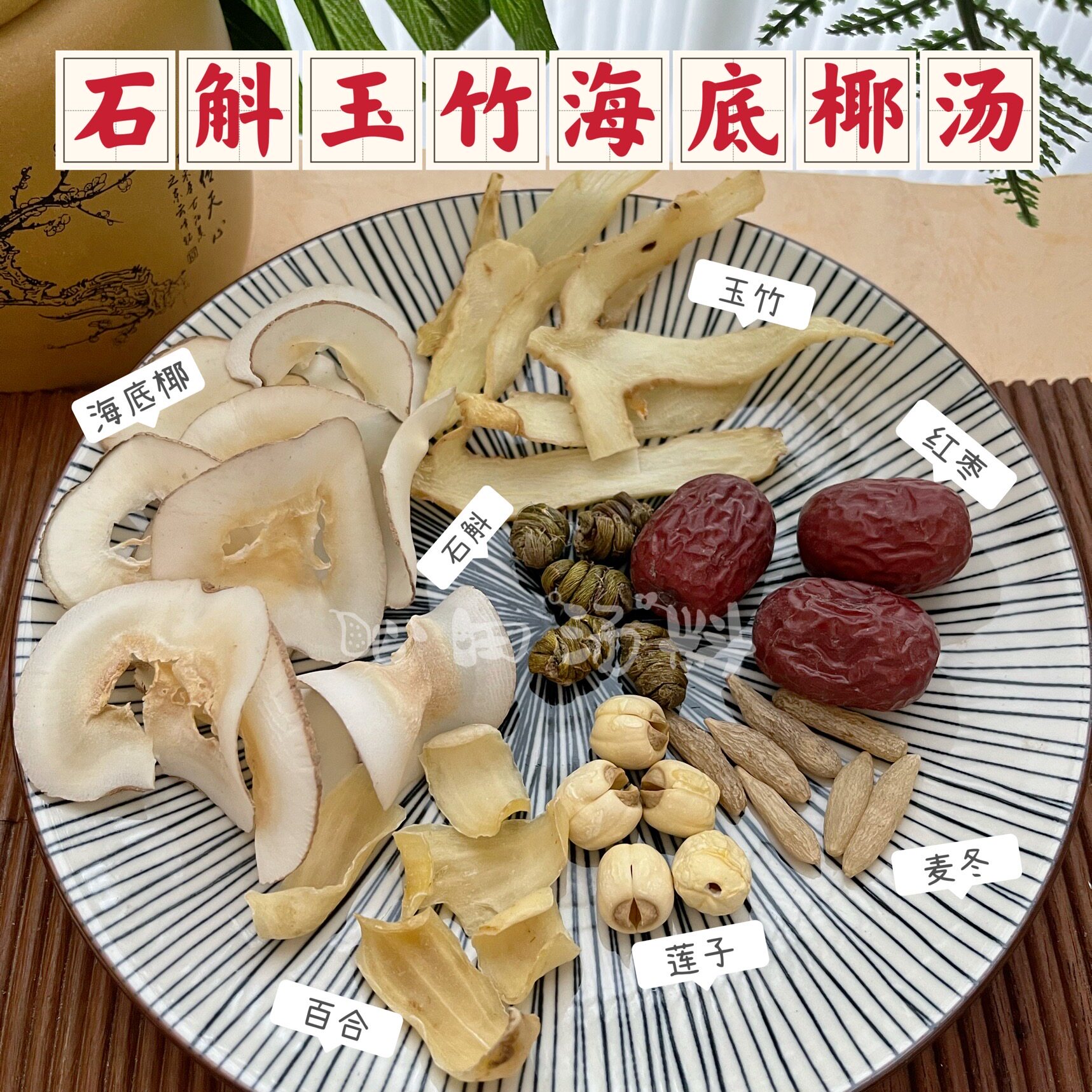 石斛玉竹海底椰汤麦冬莲子百合汤料包滋润燥熬夜肝火煲汤滋清补品