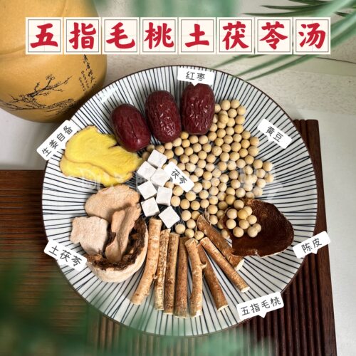 莫氏鸡煲同款汤底汤料包五指毛桃土茯苓陈皮黄豆祛湿汤鸡汤火锅