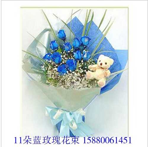 11枝蓝色妖姬花束价格 11枝蓝色妖姬花束图片 星期三 11枝蓝色妖姬花束价格 11枝蓝色妖姬花束图片 星期三