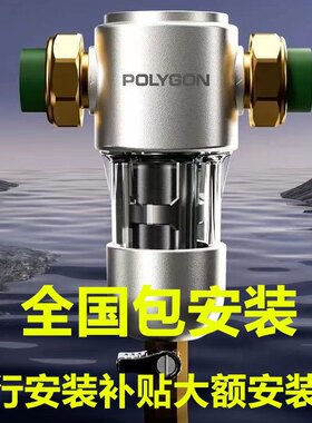 大流量滤芯保利前置过滤器免更换
