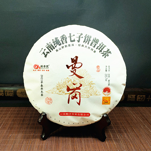 2021年醇普號 曼崗早春喬木云南純香七子餅357克青餅大葉普洱生茶
