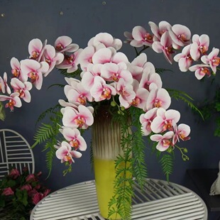 9头胶布蝴蝶兰高端大气上档次插花婚礼堂工程园林百搭手感优质