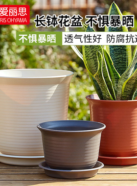 日本爱丽思IRIS花盆ZEN长型长钵花盆多肉花盆 树脂PP塑料吊兰花盆