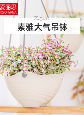 爱丽思IRIS SEINE吊盆 ZEN 环保树脂垂吊花盆 中小号花盆 6/7/8号