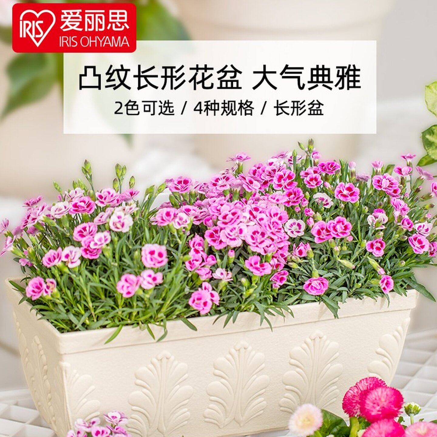 日本IRIS爱丽思FIRENZE凸纹长方形大口径大号塑料仿陶瓷种菜花盆