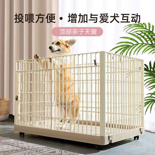 爱丽丝爱丽思泰迪柯基斗牛狗笼