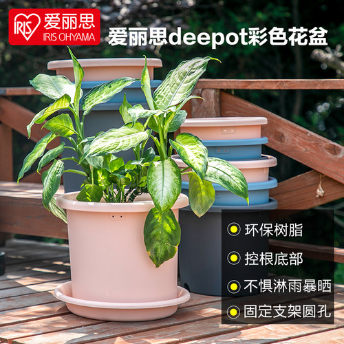 爱丽思Deepot彩色花盆托