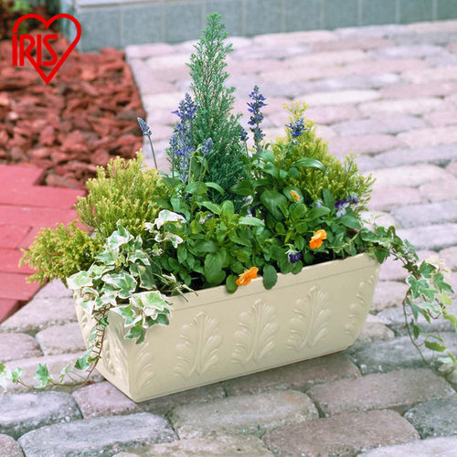 日本iris爱丽思凸纹长方形塑料