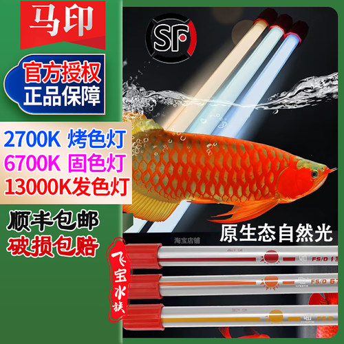 发色灯固色灯防水2700K烤色