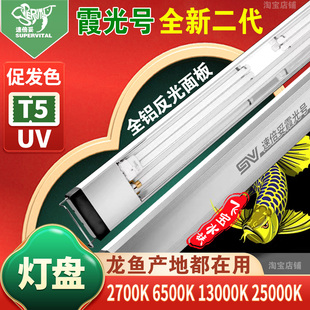 速倍妥龙鱼灯专用发色灯管鱼缸增艳灯红龙鱼T5全光谱uv霞光号二代
