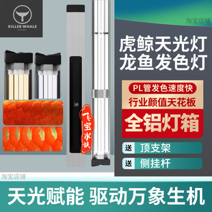 虎鲸天光灯2700k龙鱼灯专用发色灯烤色灯红龙鱼金龙鱼增艳灯灯管