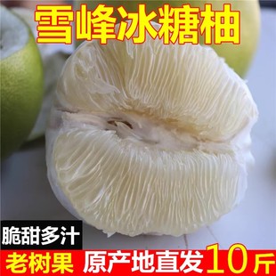 湖南怀化雪峰山冰糖柚子安江小柚子新鲜水果白心苦柚老树土柚药柚