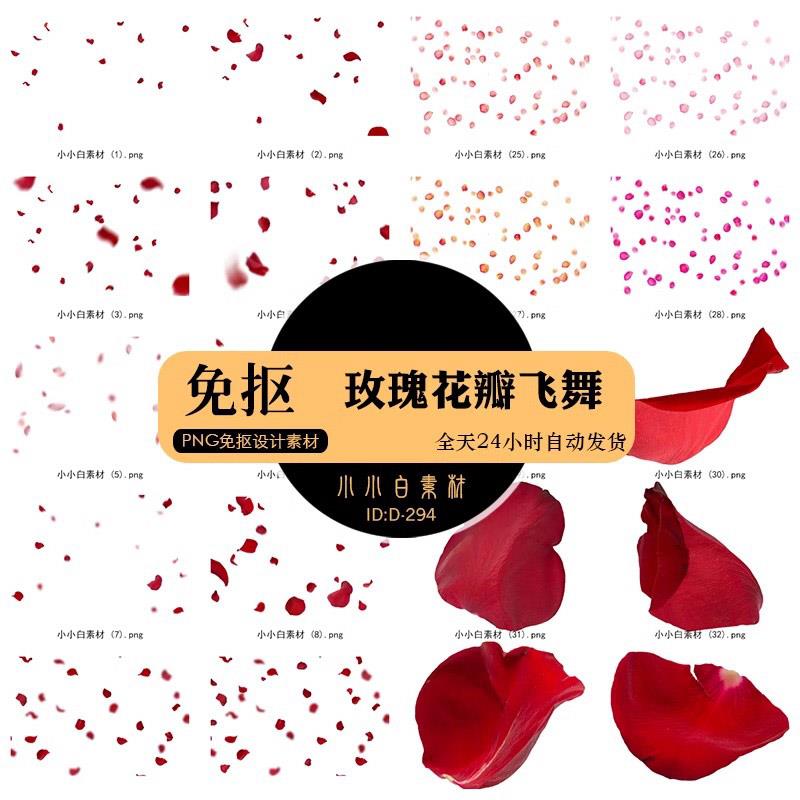 44张高清玫瑰花瓣飞舞飘落摄影照片后期合成透明免抠PNG图片素材